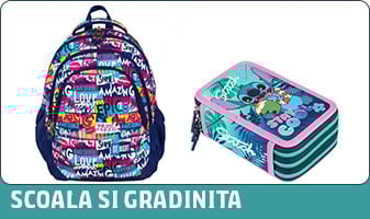 Scoala si Gradinita