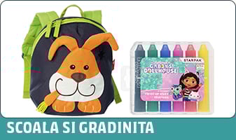 Scoala si Gradinita