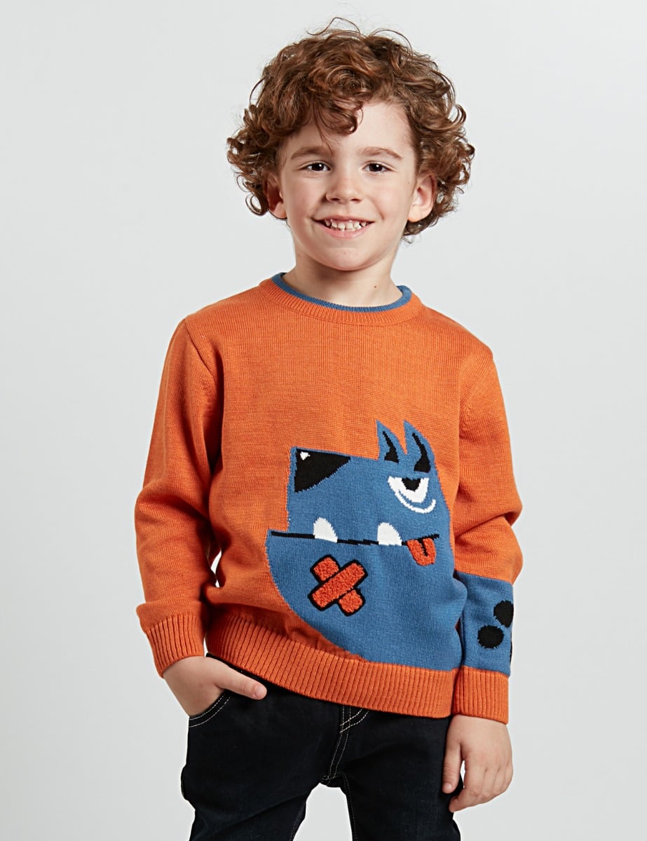 Pulover cu imprimeu Denokids