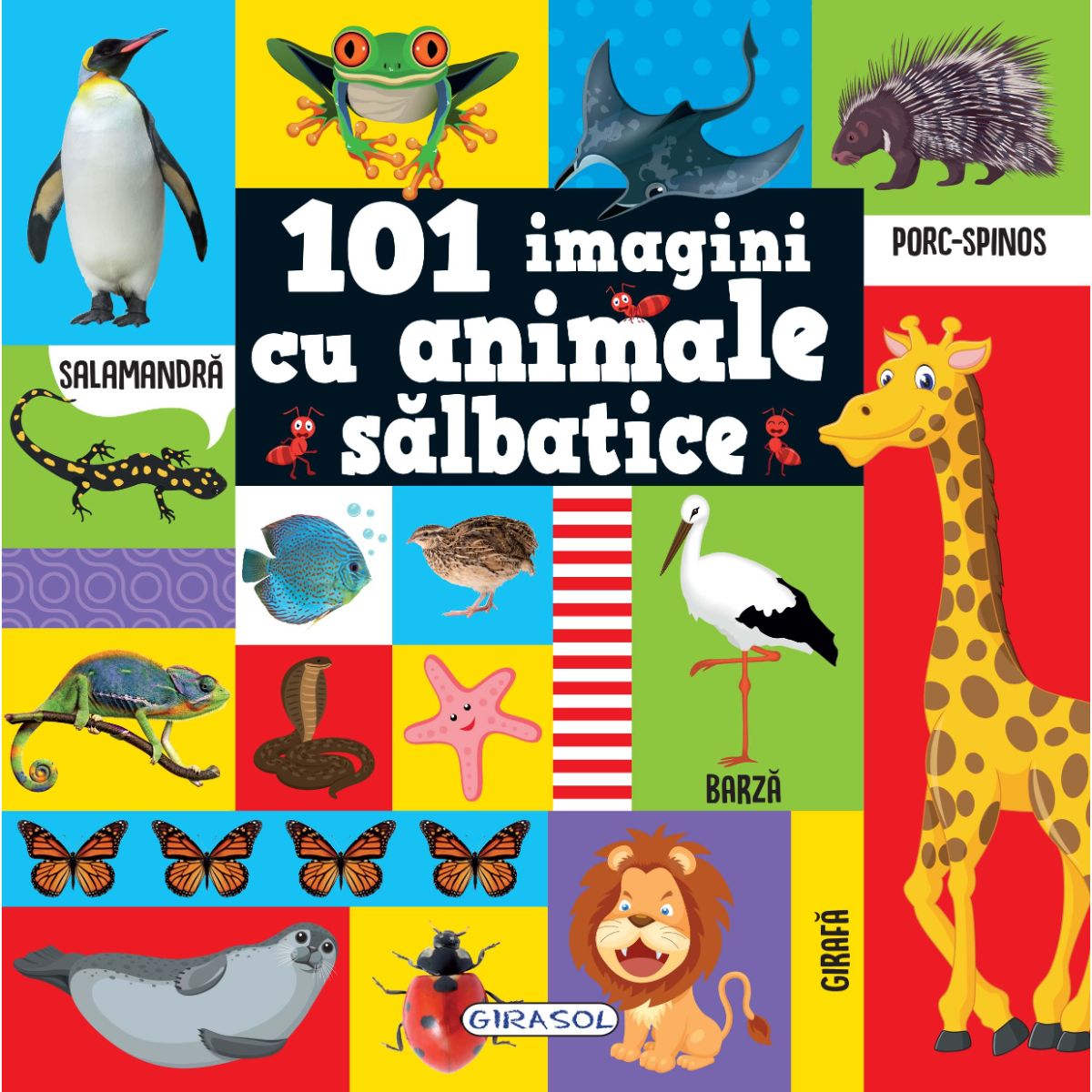 Carte cu animalute, 101 imagini cu animale salbatice GIRASOL