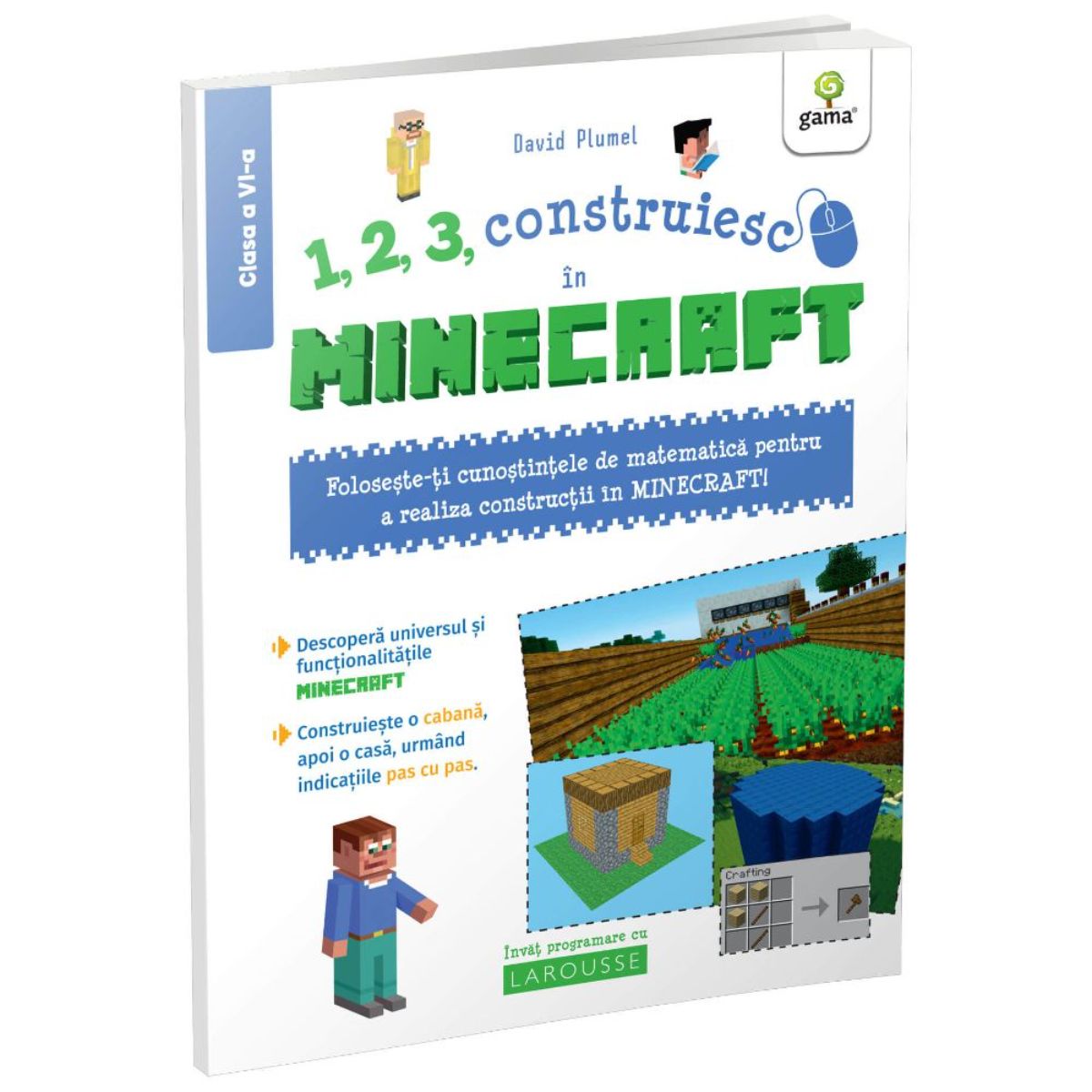 1, 2, 3 construiesc in Minecraft, Programez cu Larousse, David Plumel