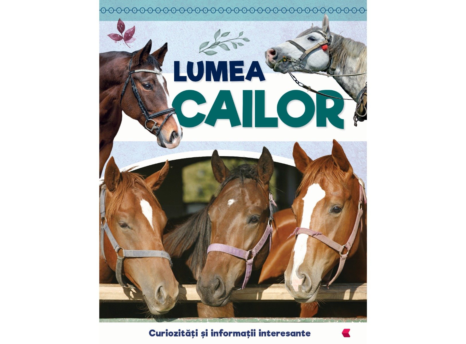 Lumea cailor