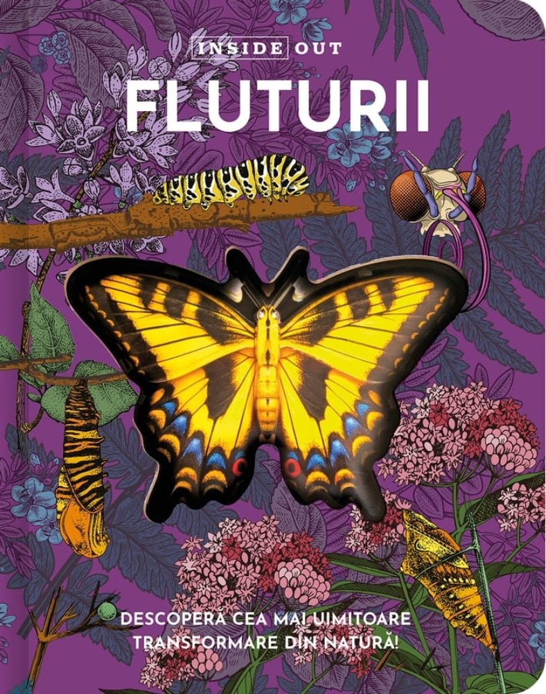 Fluturii, model 3D