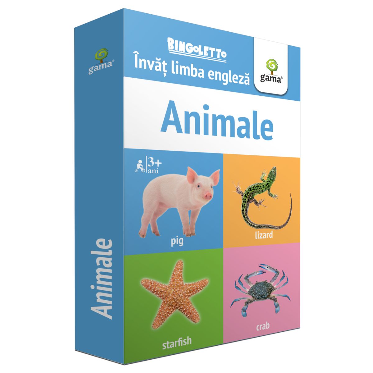 Animale, Invat limba engleza, Bingoletto Carti pentru copii imagine 2022