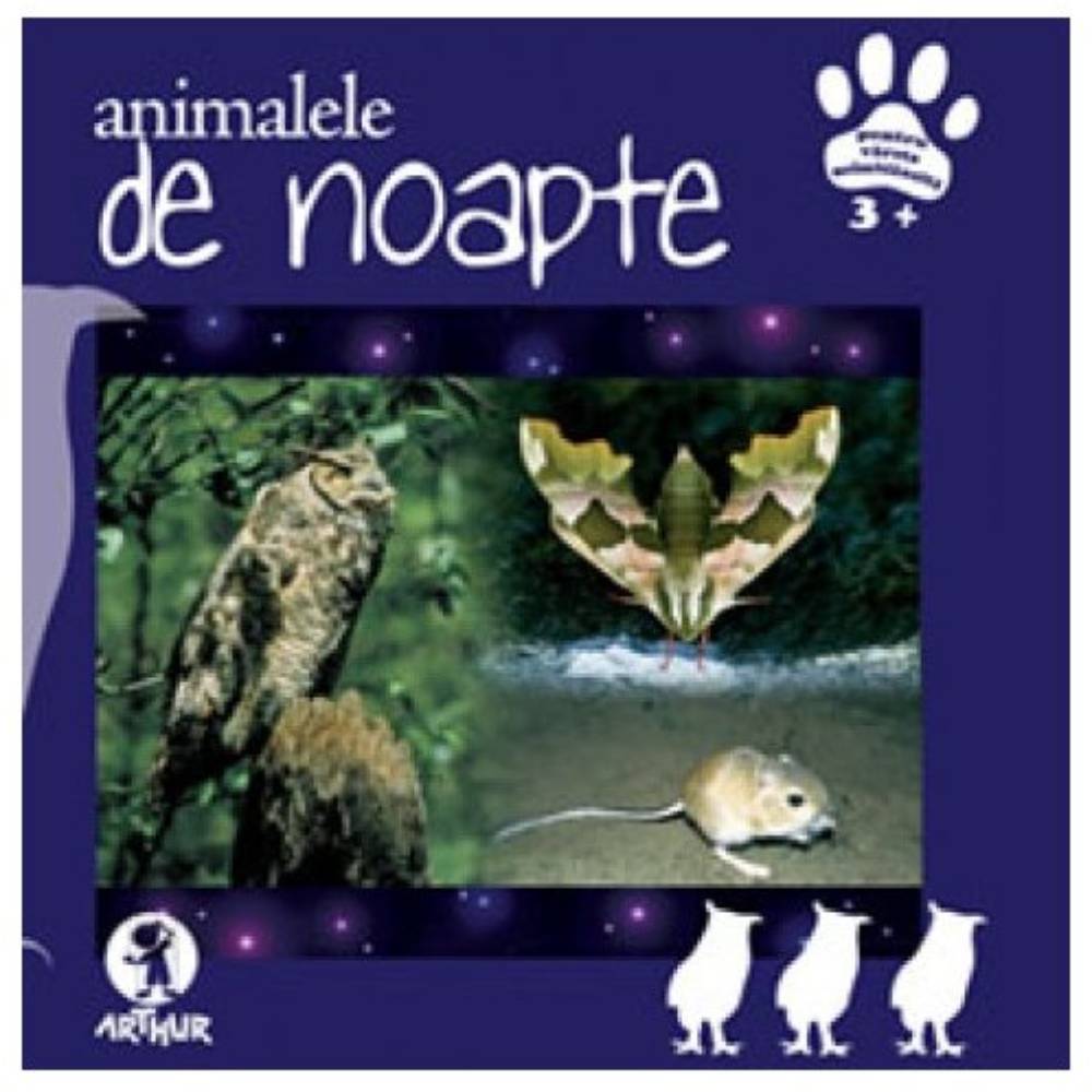 Animalele de noapte