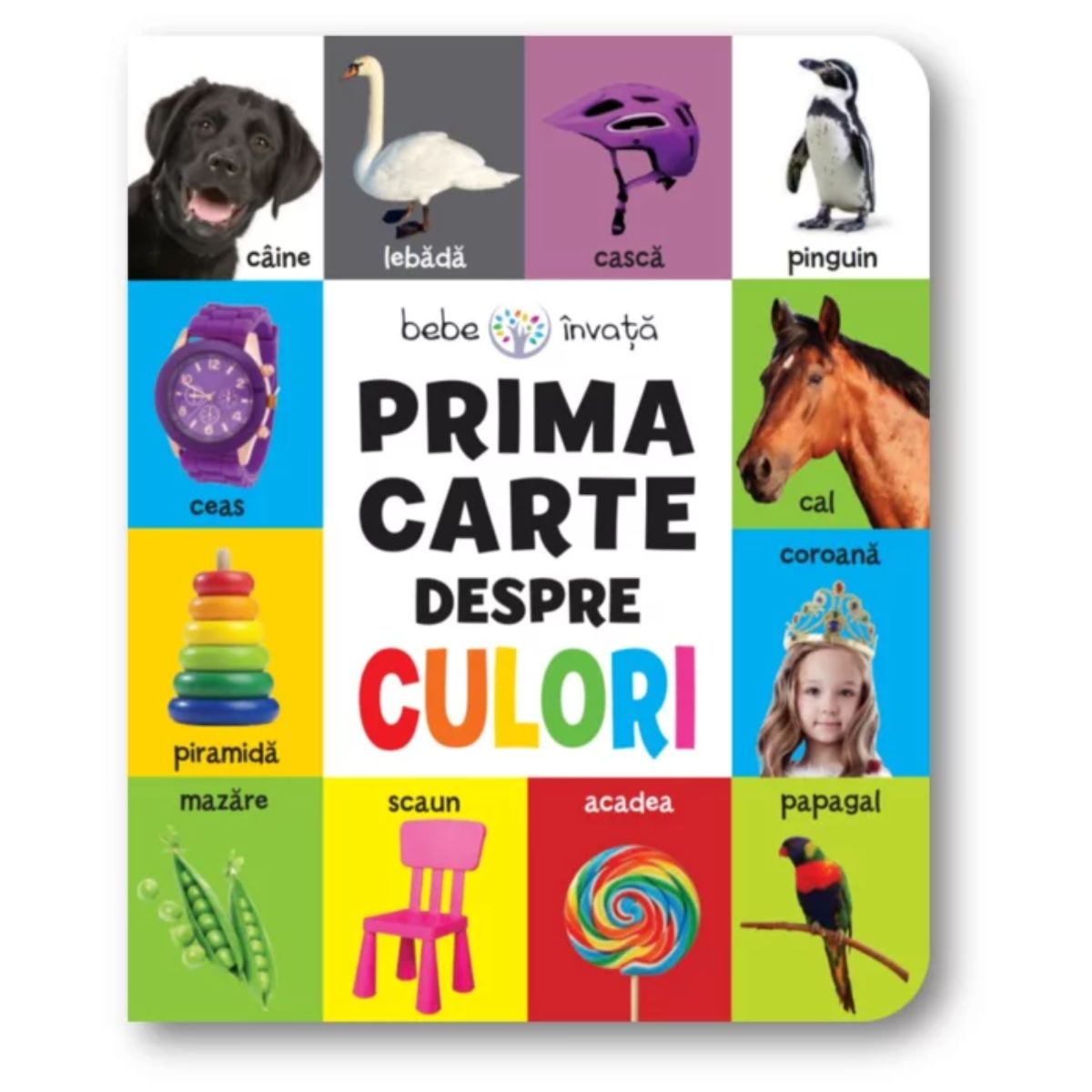 Prima carte despre culori, Bebe invata Litera