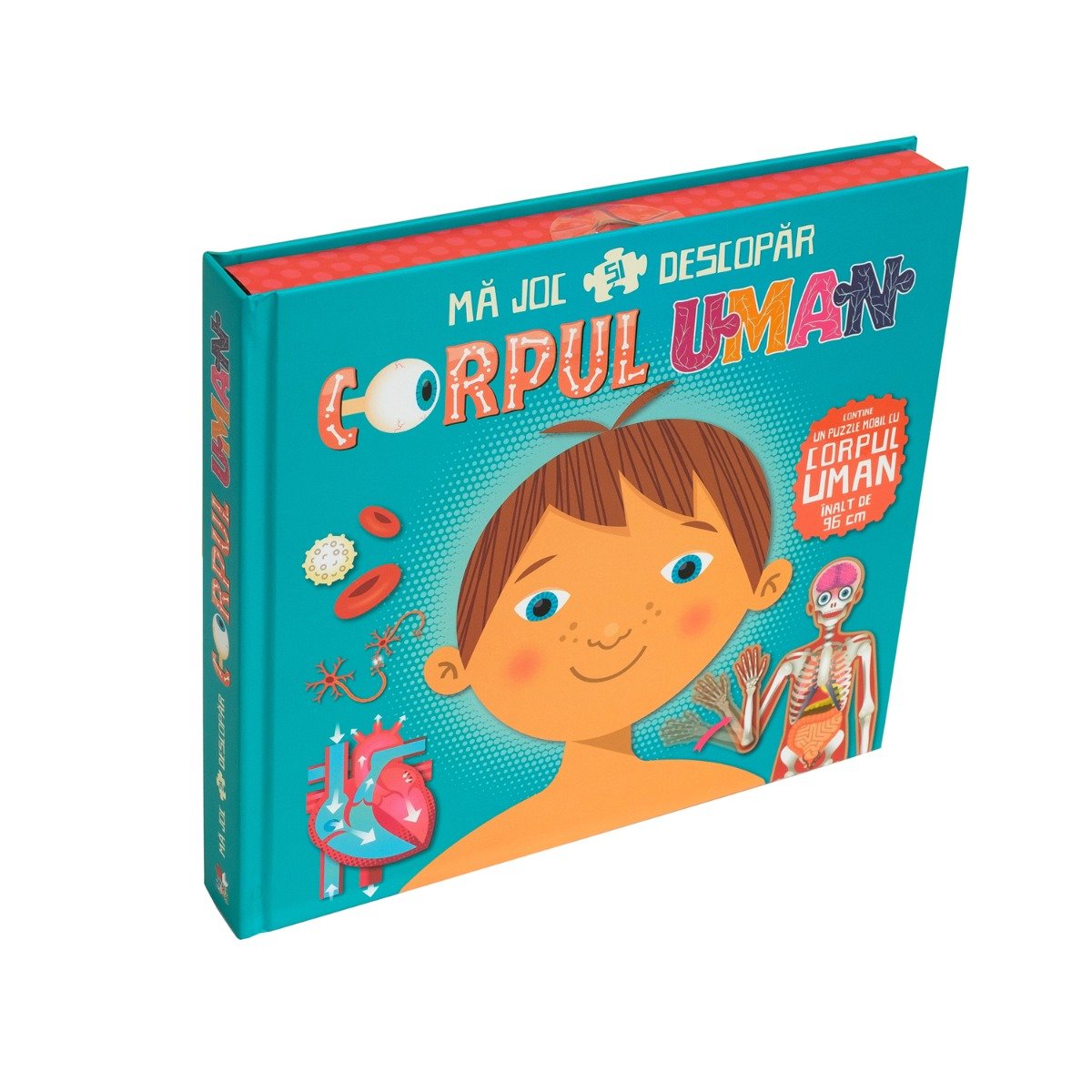Ma joc si descopar corpul uman - editura litera