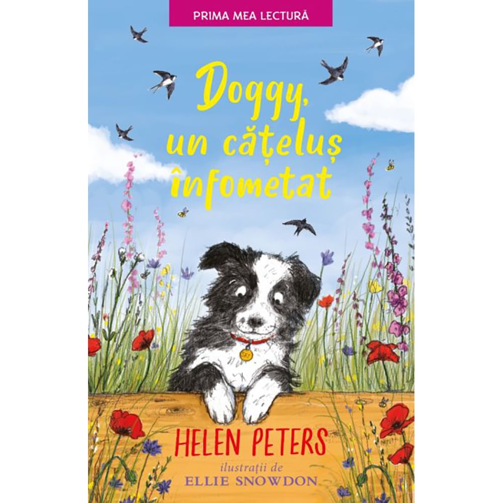 Carte Editura Litera, Doggy, un catelus infometat, Helen Peters Carti pentru copii 2023-09-30