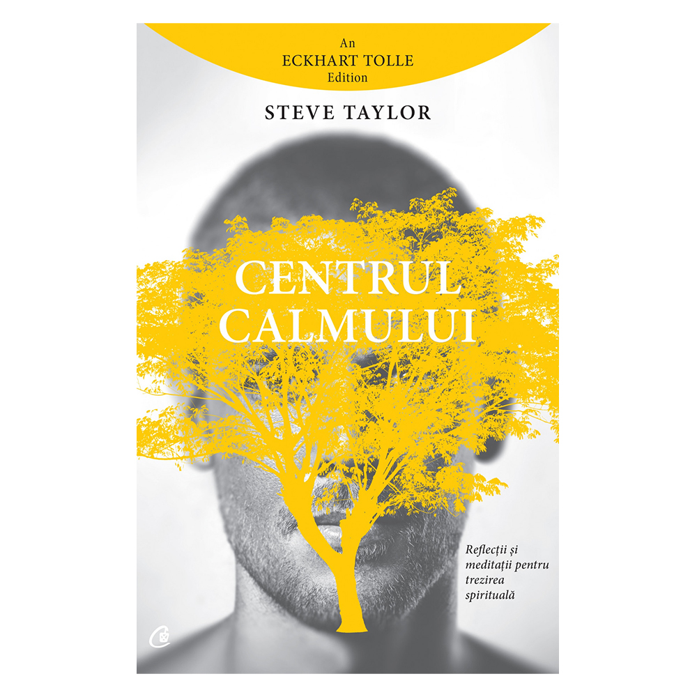 Centrul calmului, Steve Taylor