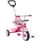 Tricicleta 3 in 1, Radio Flyer, Stroll 'N Trike, Roz
