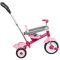 Tricicleta 3 in 1, Radio Flyer, Stroll 'N Trike, Roz