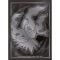 Set carti de joc, Pokemon TCG, Mega Evolution, Pitch Black, Elite Trainer Box