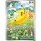 Set carti de joc in cutie, Pokemon TCG, Paldea Adventure Chest
