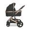 Carucior set transformabil Lorelli Boston, pana la 22 kg, Black