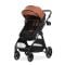 Carucior set 3 in 1, Lorelli Aspen, pana la 22 kg, Picante