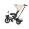 Tricicleta pentru copii, Control Parental, 12-36 Luni, Lorelli Zippy Air Pearl