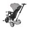 Tricicleta pentru copii cu sezut reversibil, Lorelli Voyage, 1-5 ani, Grey