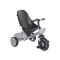Tricicleta pentru copii cu sezut reversibil, Lorelli Voyage, 1-5 ani, Grey