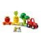 LEGO® DUPLO - Tractorul cu fructe si legume (10982)