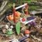 Cos de cules, din lemn premium, Tender Leaf Toys, Wild Wood