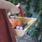 Cos de cules, din lemn premium, Tender Leaf Toys, Wild Wood