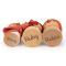 Casuta pentru pasari, din lemn premium, Tender Leaf Toys