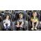 Scaun auto cu Isofix Britax Romer Dualfix i-Size, rotativ, 40-105 cm, moonlight blue
