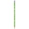 Creioane colorate cu guma de sters Evolution Illusion Bic, 24 culori