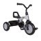 Tricicleta, Qplay Ant, Gri