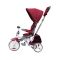 Tricicleta multifunctionala Evo Coccolle, Violet