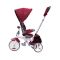 Tricicleta multifunctionala Evo Coccolle, Violet