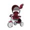 Tricicleta multifunctionala Evo Coccolle, Violet