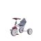 Tricicleta multifunctionala Evo Coccolle, Violet