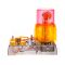 Set educativ, Eastcolight, Alarma electrica