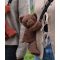 Jucarie de plus, Doudou, Ursulet, geanta crossbody, Maro, 30 cm