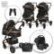 Carucior transformabil, Lorelli Alba Premium, set adaptori pentru cosulet auto inclus, Black