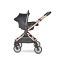 Carucior 3 in 1, Lorelli Reya, maner reversibil, pana la 22 kg, Black Jasper