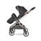 Carucior 3 in 1, Lorelli Reya, maner reversibil, pana la 22 kg, Black Jasper