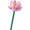 Lego® Iconic - Flori de lotus (40647)