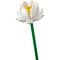 Lego® Iconic - Flori de lotus (40647)