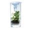Kit stiintific apa curata, 4M, Stiinta verde