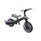 Tricicleta Globber Explorer, 4 In 1, Violet