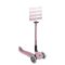 Trotineta Globber Go-Up, 4 in 1, Active Ecologic Roz