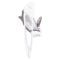 Balansoar Graco, Baby Delight, Parade