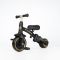 Tricicleta evolutiva pliabila, Qplay Stager, Platinum