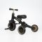 Tricicleta evolutiva pliabila, Qplay Stager, Platinum