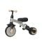 Tricicleta evolutiva pliabila, Qplay Stager, Argintiu