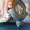 LEGO® Technic - Roverul selenar din misiunile Nasa Apollo (42182)