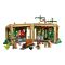 LEGO® Harry Potter - Castelul Hogwarts: Lectie de ierbologie (76445)
