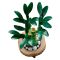 LEGO® Botanicals - Bambus norocos (10344)